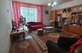 Garsoniera de 44 mp, etaj intermediar, zona Tineretului