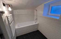 Apartament spatios, 2 camere, 90 mp, curte, zona Centrala