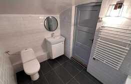 Apartament spatios, 2 camere, 90 mp, curte, zona Centrala