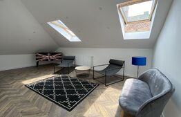 Casa ultrafinisata, 5 camere, Dambu Rotund