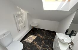 Casa ultrafinisata, 5 camere, Dambu Rotund