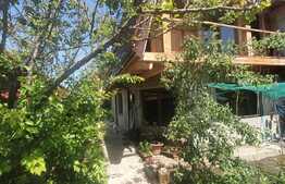 Doua case cuplate, teren de 450 mp, Iris