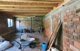 Doua case cuplate, teren de 450 mp, Iris