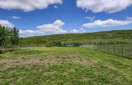 Casa 4 camere, 136 mp, teren 2500 mp, in Dabaca