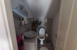 Casa 4 camere, 136 mp, teren 2500 mp, in Dabaca