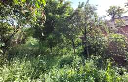 Casa pe un singur nivel, front de 24ml, Zona Parcul Fraternitarii