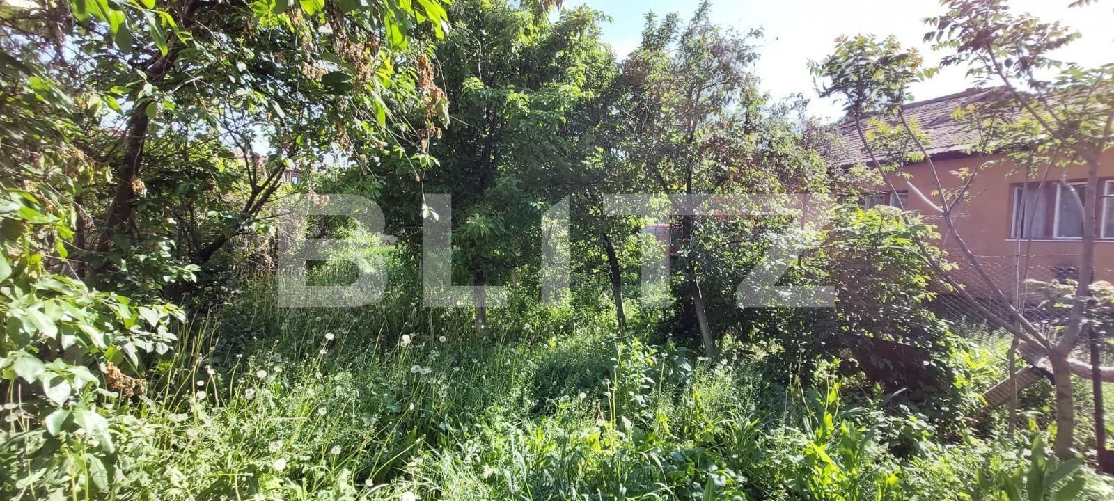 Casa de vânzare 4 camere Gheorgheni - 87048CV | BLITZ Cluj-Napoca | Poza4