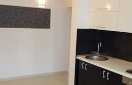 Apartament 2 camere, decomandat, mobilat utilat, zona Profi