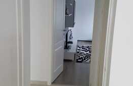 Apartament 2 camere, decomandat, mobilat utilat, zona Profi