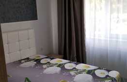 Apartament 2 camere, decomandat, mobilat utilat, zona Profi