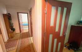 Apartament 2 camere, 50 mp, balcon, Zorilor 