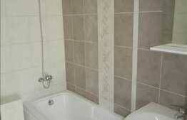 Vanzare 1 camera, 31 mp utili, zona C. Coposu, terasa 11 mp, parcare subterana