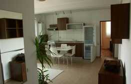 Zona strazii Fagului, de inchiriat 2 camere, 47 mp, mobilat modern. Parcare!