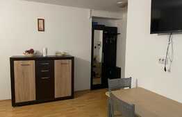 Apartament 2 camere, parter, 33mp, situata intr-o vila cu curte proprie.