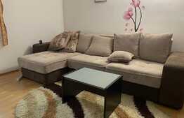 Apartament 2 camere, parter, 33mp, situata intr-o vila cu curte proprie.