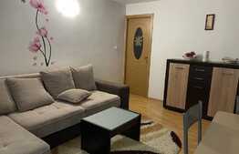 Apartament 2 camere, parter, 33mp, situata intr-o vila cu curte proprie.