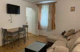 Apartament 2 camere, parter, 33mp, situata intr-o vila cu curte proprie.