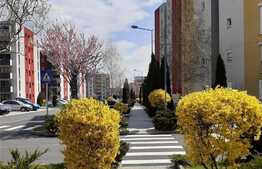 Garsoniera, 41 mp, semidecomandat, zona Bartolomeu