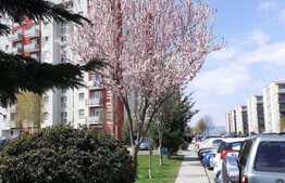 Garsoniera, 41 mp, semidecomandat, zona Bartolomeu