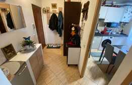 Apartament de 2 camere, 49mp, Zona Astra - Orizont 3000