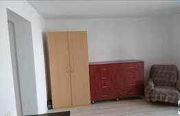 Apartament 1 camera, 35 mp, gradina, zona strazii Frunzisului