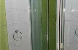 Apartament 1 camera, 35 mp, gradina, zona strazii Frunzisului