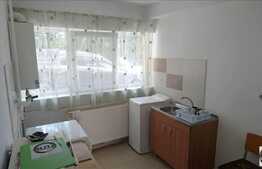 Apartament 1 camera, 35 mp, gradina, zona strazii Frunzisului