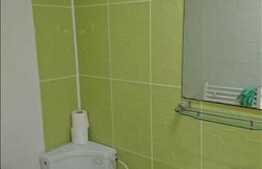 Apartament 1 camera, 35 mp, gradina, zona strazii Frunzisului