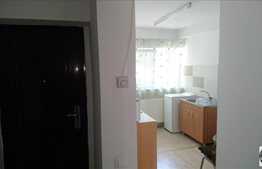 Apartament 1 camera, 35 mp, gradina, zona strazii Frunzisului