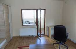 Apartament cu 2 camere, 65 mp, mobilat modern, zona strazii Piezisa