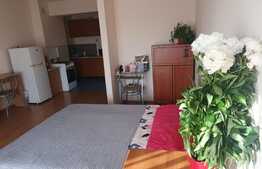 Garsoniera de 42 mp, mobilat/utilat, zona Piata 1 Mai