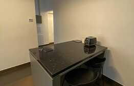 Comision zero! Apartament în zona Ultracentrală, etaj 1, zona I.C. Brătianu