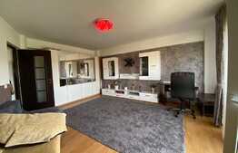 Apartament 2 camere decomandate, petfrendly, 65 mp, zona Piata 1 Mai