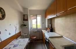 Apartament 2 camere decomandate, petfrendly, 65 mp, zona Piata 1 Mai