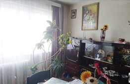 Vanzare apartament 2 camere, 37 mp, decomandat,zona strazii Grigore Alexandrescu