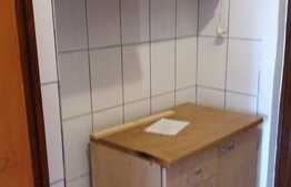 Garsoniera zona Infratirii