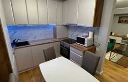 Apartament 2 camere, 52 mp, terasa, parcare, zona Urusagului 