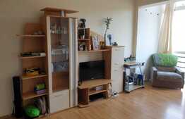 Garsonieră 32 mp, balcon, zona La Terenuri