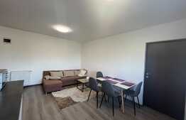 Apartament 2 camere, 43 mp, semidecomandat, zona Vivo