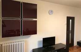 Apartament 3 camere, 80 mp, mobilat modern, zona strazii Plopilor