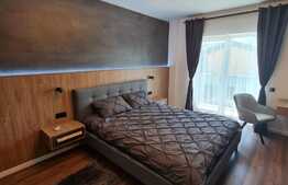 Apartament de lux, 2 camere, 60 mp, zona strazii Dumitru Mocanu