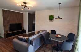 Apartament de lux, 2 camere, 60 mp, zona strazii Dumitru Mocanu