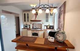 Apartament cochet, 2 camere, 52 mp, etaj intermediar, zona Muzeul Apei