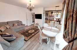 Apartament cochet, 2 camere, 52 mp, etaj intermediar, zona Muzeul Apei