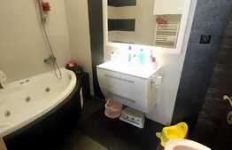 Apartament 3 camere, etaj intermediar, 59 mp, zona Terra