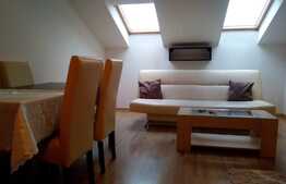 Apartament de 2 camere, mobilat, parcare, zona Ioan Rus