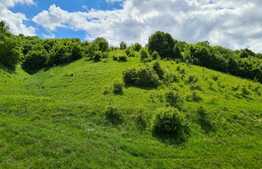 Apartament 2 camere, 53 mp, lift, etaj intermediar, zona Teilor