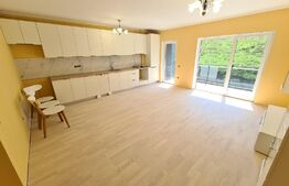 Apartament 2 camere, 53 mp, lift, etaj intermediar, zona Teilor
