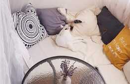 Oportunitate! Apartament 2 camere, 53 mp, etaj intermediar in cartier Gheorgheni