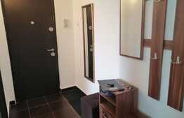 Apartament 2 camere, 43 mp, renovat, zona Interservisan